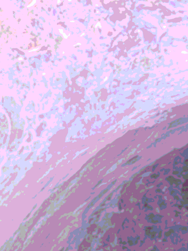 What Is Fascia? Your Body's Hidden Architecture, Explained