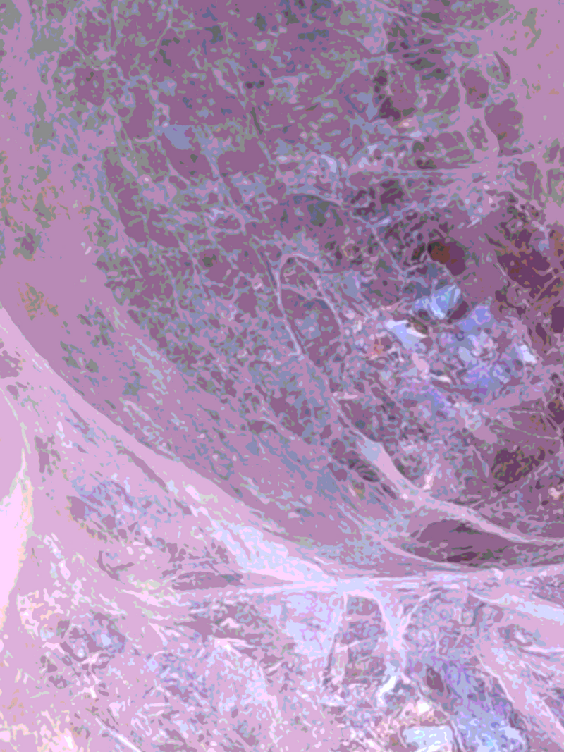 Abstract fascia-inspired texture used as a background element.